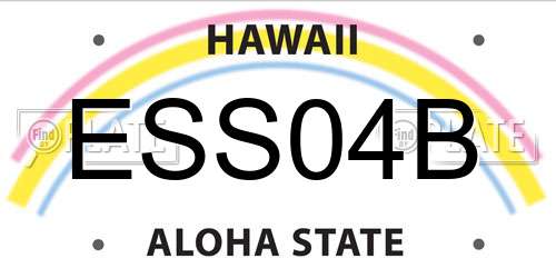 ESS04B Hawaii License Plate