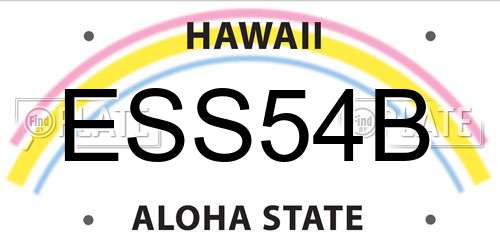 ESS54B Hawaii License Plate