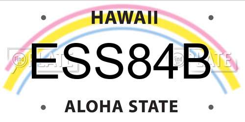 ESS84B Hawaii License Plate