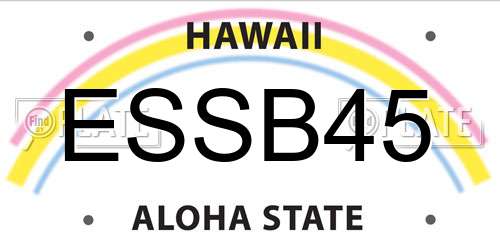 ESSB45 Hawaii License Plate