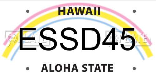 ESSD45 Hawaii License Plate