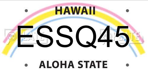 ESSQ45 Hawaii License Plate