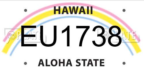 EU1738 Hawaii License Plate