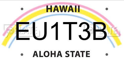 EU1T3B Hawaii License Plate