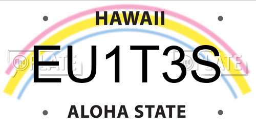 EU1T3S Hawaii License Plate