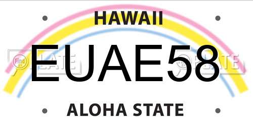 EUAE58 Hawaii License Plate