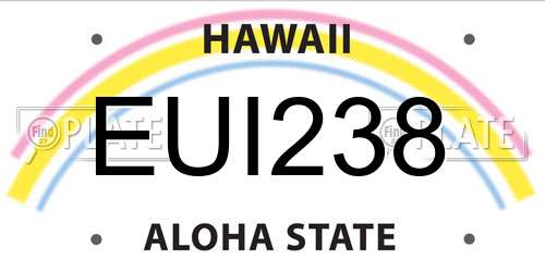 EUI238 Hawaii License Plate