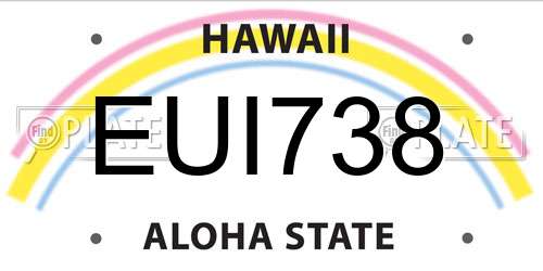 EUI738 Hawaii License Plate