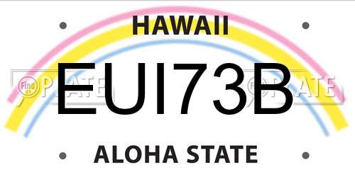 EUI73B Hawaii License Plate