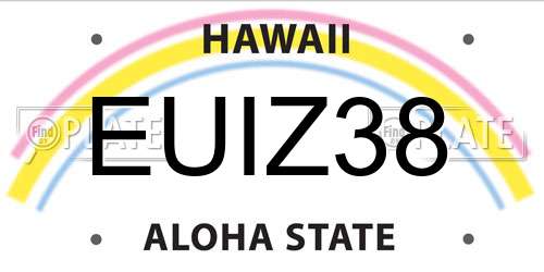 EUIZ38 Hawaii License Plate