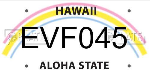 EVF045 Hawaii License Plate