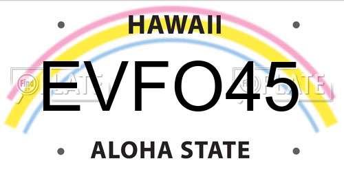 EVFO45 Hawaii License Plate