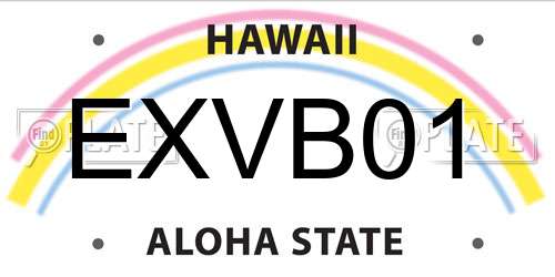 EXVB01 Hawaii License Plate