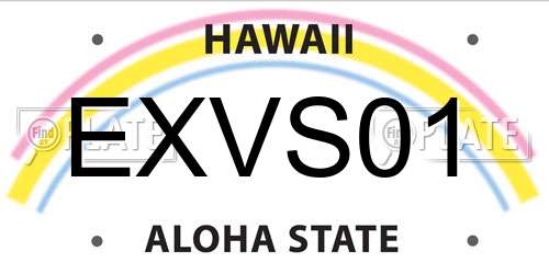 EXVS01 Hawaii License Plate