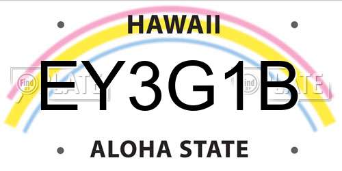 EY3G1B Hawaii License Plate