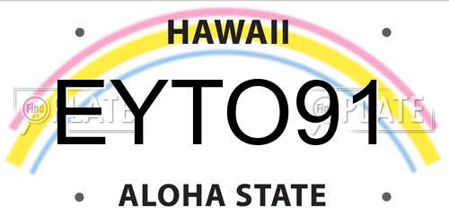 EYTO91 Hawaii License Plate