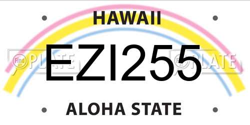 EZI255 Hawaii License Plate
