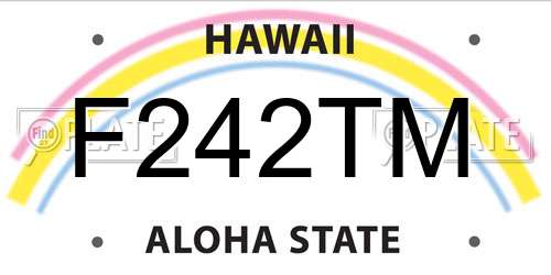 F242TM Hawaii License Plate