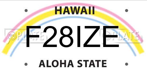 F28IZE Hawaii License Plate
