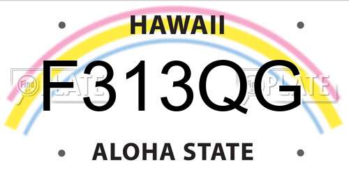 F313QG Hawaii License Plate