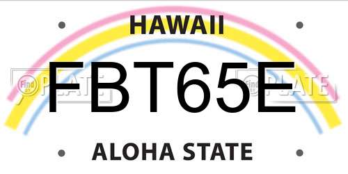 FBT65E Hawaii License Plate