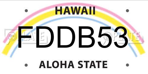 FDDB53 Hawaii License Plate
