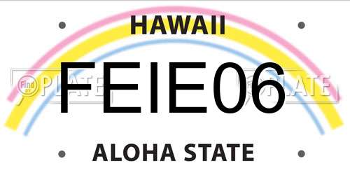 FEIE06 Hawaii License Plate