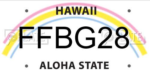 FFBG28 Hawaii License Plate