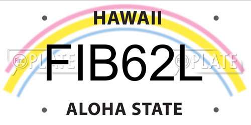 FIB62L Hawaii License Plate