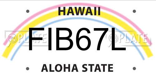 FIB67L Hawaii License Plate