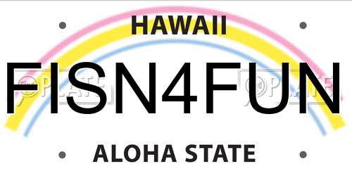 FISN4FUN Hawaii License Plate