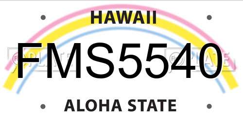 FMS5540 Hawaii License Plate