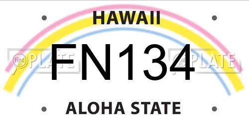 FN134 Hawaii License Plate