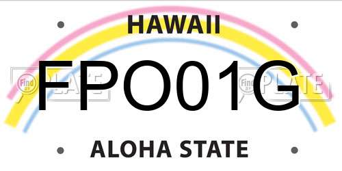 FPO01G Hawaii License Plate