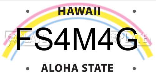 FS4M4G Hawaii License Plate