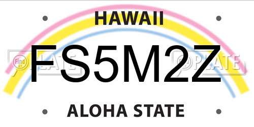 FS5M2Z Hawaii License Plate