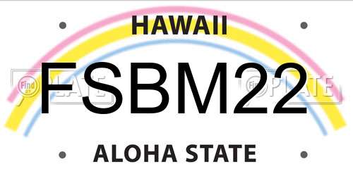 FSBM22 Hawaii License Plate