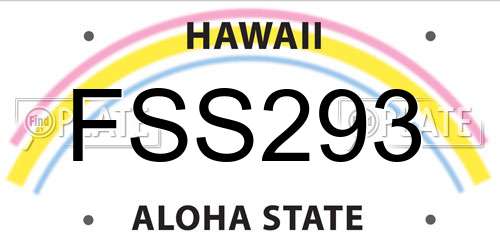 FSS293 Hawaii License Plate