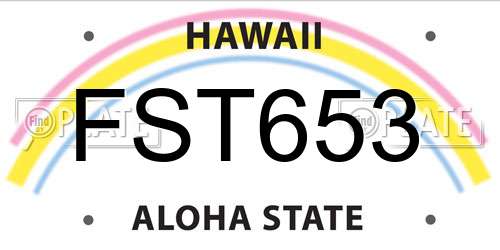 FST653 Hawaii License Plate