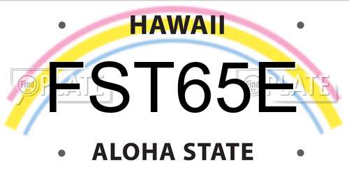 FST65E Hawaii License Plate