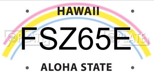 FSZ65E Hawaii License Plate