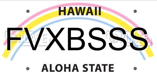 FVXBSSS Hawaii License Plate