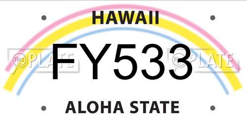 FY533 Hawaii License Plate
