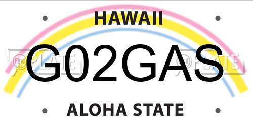 G02GAS Hawaii License Plate