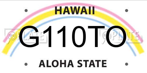 G110TO Hawaii License Plate