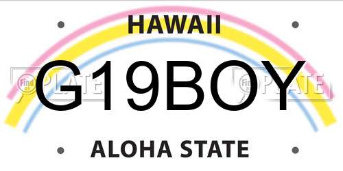 G19BOY Hawaii License Plate