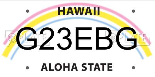 G23EBG Hawaii License Plate