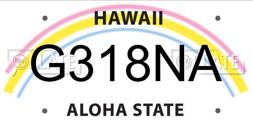 G318NA Hawaii License Plate
