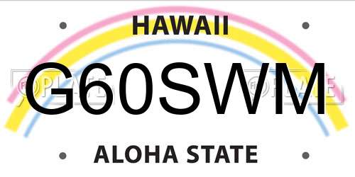 G60SWM Hawaii License Plate