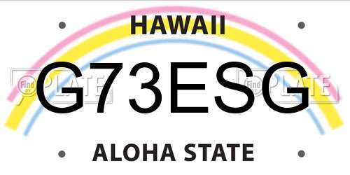 G73ESG Hawaii License Plate